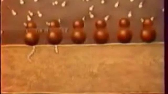 Аппарат Гольджи и ЭПС клетки