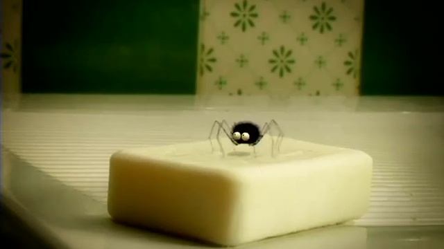 Насекомые Паук черный  Неудачи