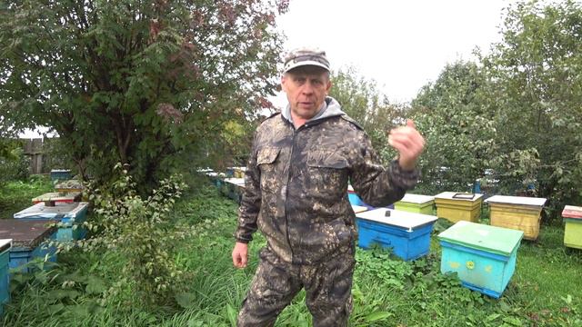 ОСНОВНЫЕ РАБОТЫ В СЕНТЯБРЕ НА ПАСЕКЕ С ПЧЁЛАМИ