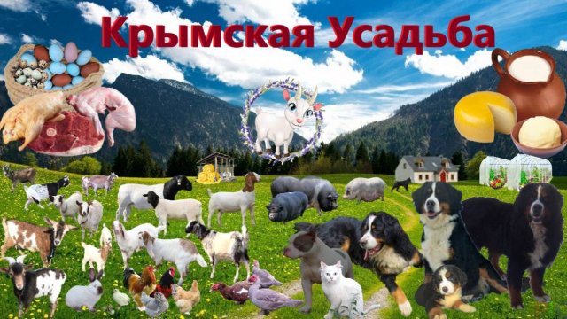 Крымская Усадьба🏡 .Все о личном подсобном хозяйстве 🐐🐑🐖🐓🐇и не только.Ждём Вас на нашем канале!