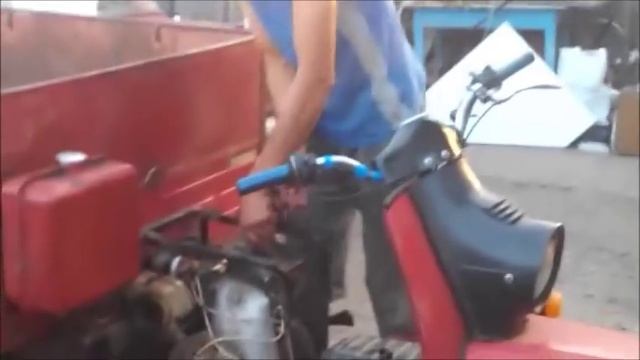 Не могли завести муравей