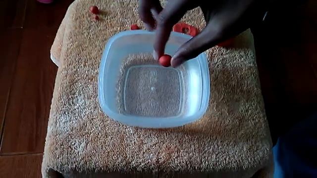 EXPERIMENTO DE LA PLASTILINA Y EL AGUA