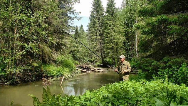 Рыбалка на небольшой лесной речке #433