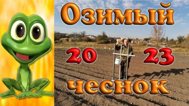 Озимый чеснок под мотоблок 2023. Так я еще не сажал...