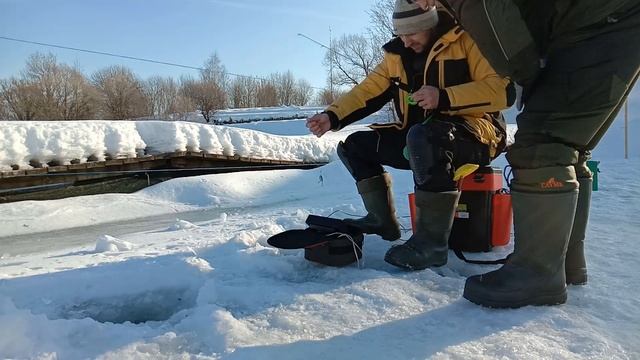 Форель предпочитает это. Ловля форели на раттлины и резину