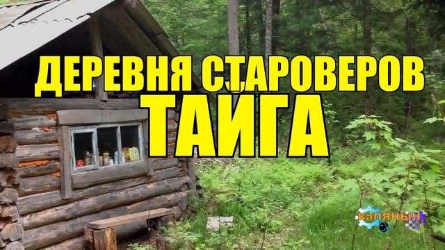 0837 - ДЕРЕВНЯ _ СТАРОВЕРЫ В ТАЙГЕ _ ОТШЕЛЬНИКИ СТАРОВЕРЫ _ в каждой деревне есть ведьма.mp4