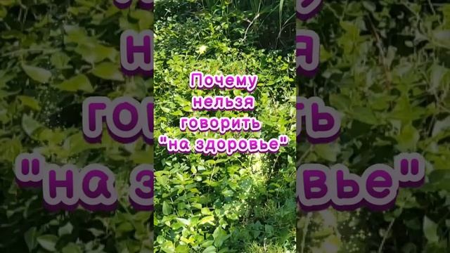 Почему нельзя говорить на здоровье