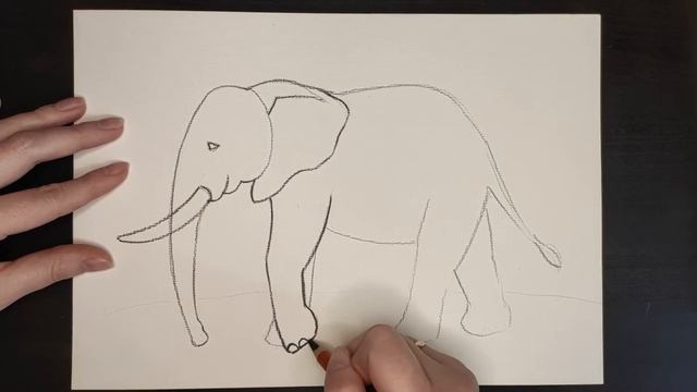 Рисуем слона