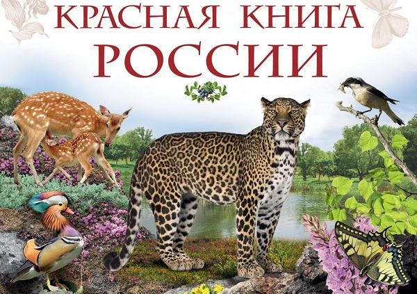 Окружающий мир, 2 класс (Урок№22 Красная книга России, её значение, отдельные представители).
