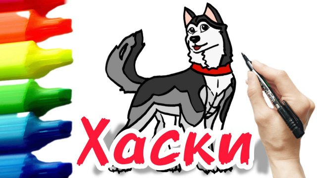 Как нарисовать собаку хаски
