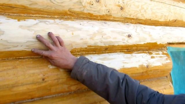 Убираем синеву на бревне / Как избавится от посинения бревна?