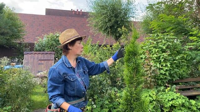 ТУИ | Формируем в один ствол