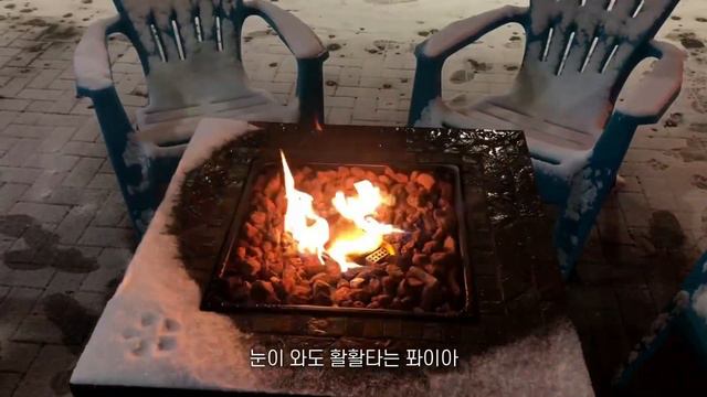 격리면제서 신청하고 간단하게 크리스마스 즐기기