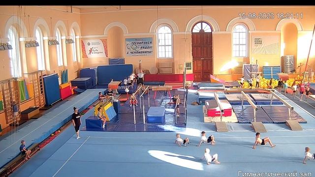 Спортивная гимнастика