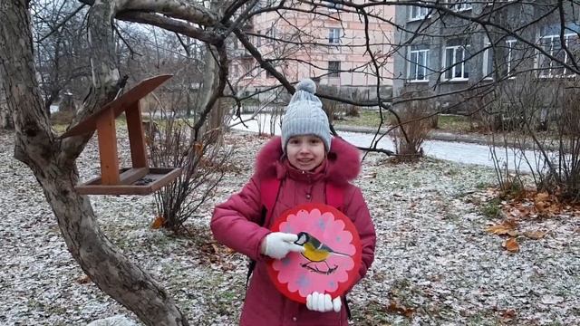 Птички-синички