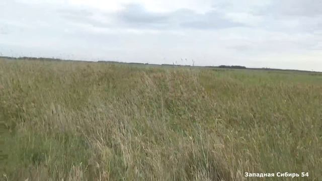 Охота на утку! Осень 2023г