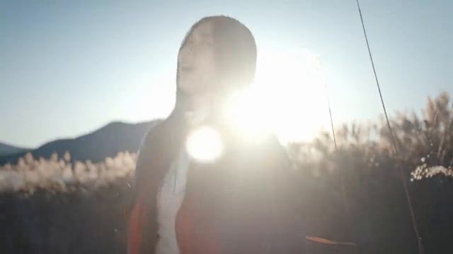 Deai - Что такое осень秋とは _ДДТ по-японски