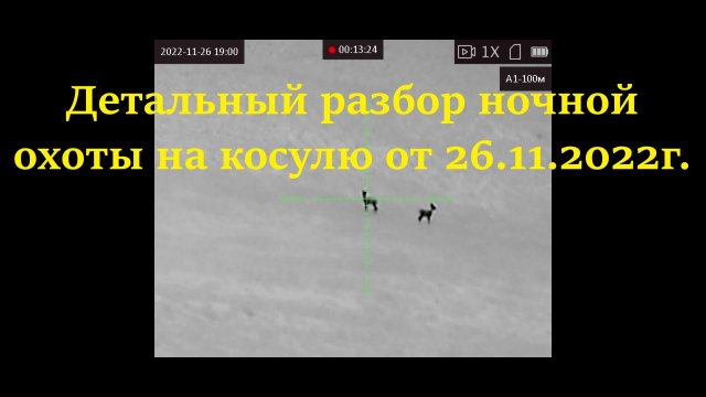 Детальный разбор ночной охоты на косулю
