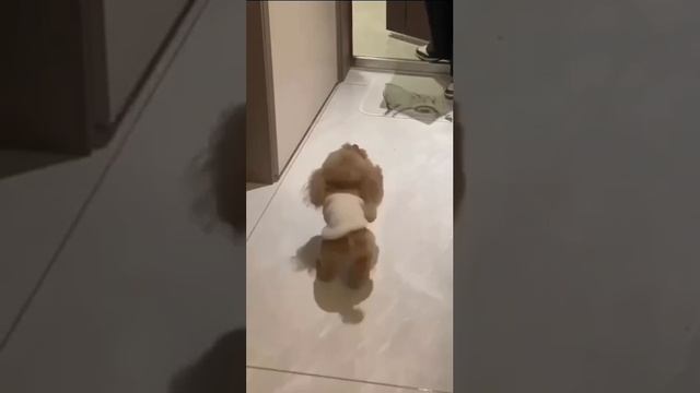 Дождался наконец
