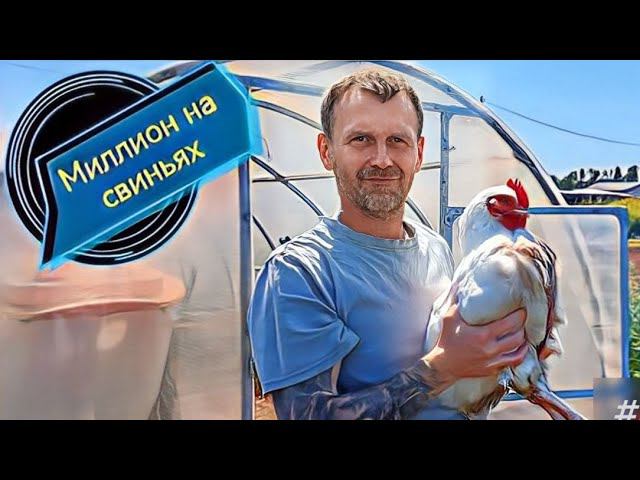 Вес бройлера в 60 дней.Наш опыт содержания.