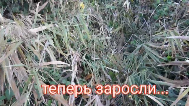 Умирающая река. 2я Понура, обзор мест для рыбалки