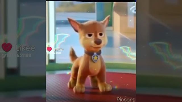 Like_7325297295526951754.mp4
