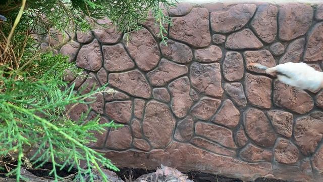 КАК И ЧЕМ ПОКРАСИТЬ ИСКУССТВЕННЫЙ КАМЕНЬ ИЗ БЕТОНА - DIY