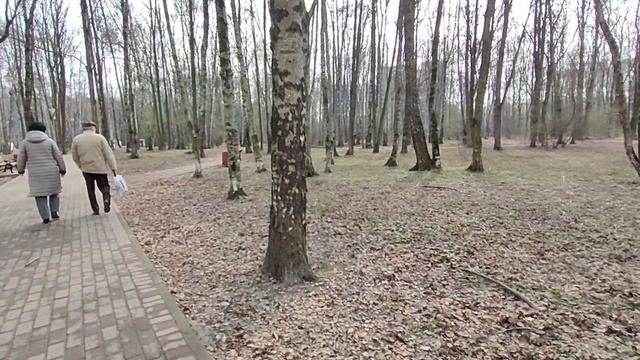 Прогулка в парке...