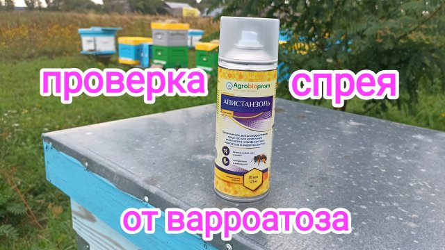 Борьба с клещём варроа у пчёл, без химии! Пчеловодство!