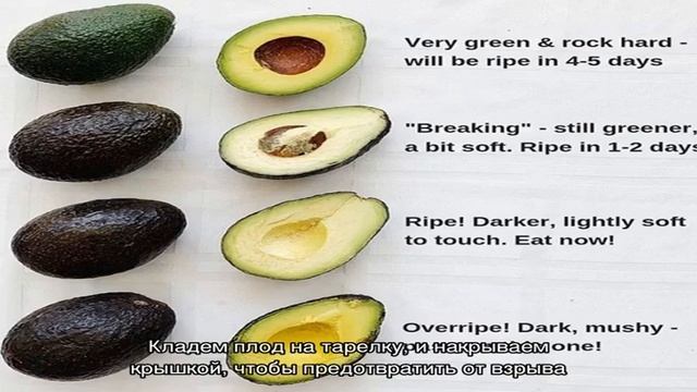 Что делать с недозрелым авокадо?
