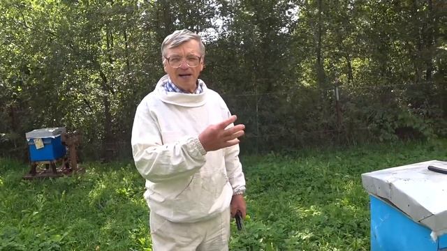 Пчелиный напад на пасеке.  Что делать.  Эффективное приспособление от напада
