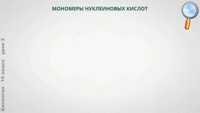 Биология 10 класс (Урок№3 - Органические вещества. Белки и нуклеиновые кислоты, и их значение. АТФ.
