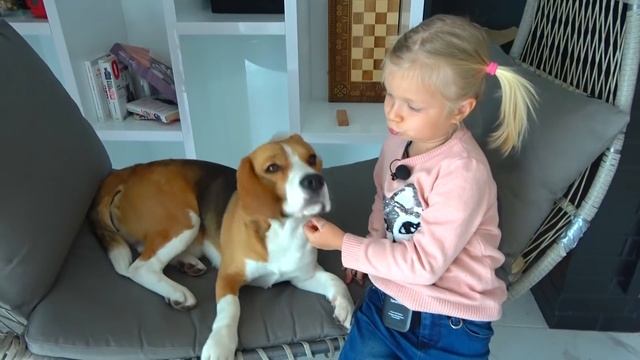 СОФИЯ И ЕЁ ЛЮБИМАЯ СОБАКА. СОФУНЬЯ ШАЛУНЬЯ