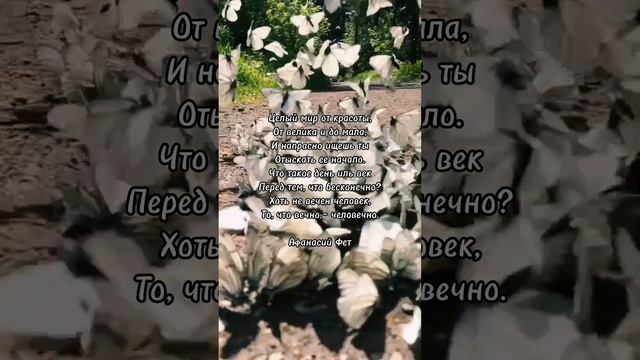 Целый мир от красоты