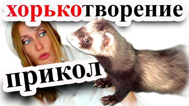 ХОРЕК ПРОТИВ