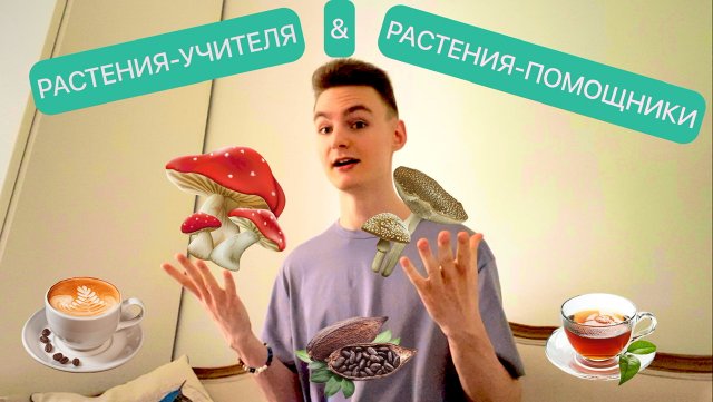 РАСТЕНИЯ-УЧИТЕЛЯ & РАСТЕНИЯ-ПОМОЩНИКИ