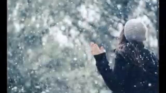 Снег, снег... Александр Городницкий