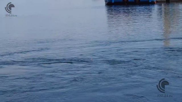 НОВАЯ РУБРИКА!!! Факты РОССИИ!!! История реки Енисей!!