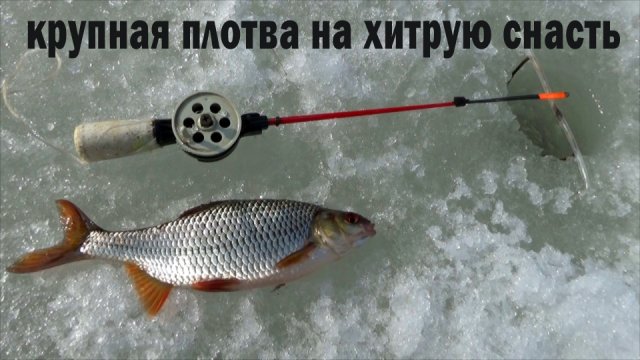 Рыбалка 21 марта. Крупная плотва на хитрую снасть!