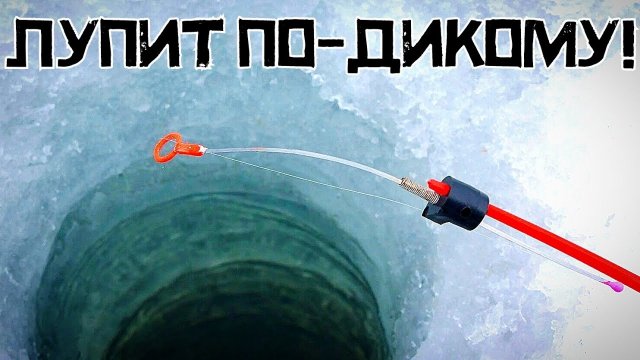 НАРВАЛСЯ НА СТАЮ! Секретное место УДИВИЛО в феврале! Рыбалка 2024