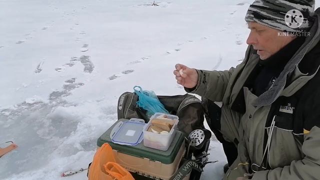 РЫБАЛКА на ФОРЕЛЬ на платнике ЗИМОЙ. Часть 3.