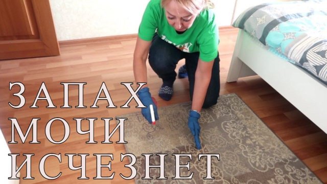 Многие не знают, как убрать ЗАСТАРЕЛЫЙ запах МОЧИ ЖИВОТНЫХ