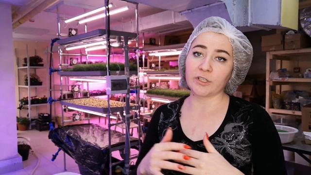 Как правильно выращивать #микрозелень на агровате? Выращиваем на агровате. Подготовка агроваты.