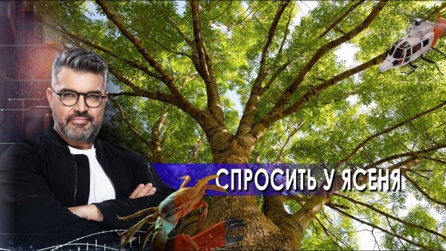 Вы давно хотели спросить у ясеня – и вот он заговорил! | Знаете ли вы, что? (18.05.2021).