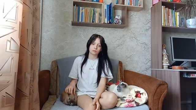 Уход за декоративными кроликами .