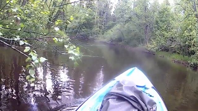 4-я серия. Водный поход до Финского залива. Река Гороховка-день 2-й 2-хдневного сплава на байдарках