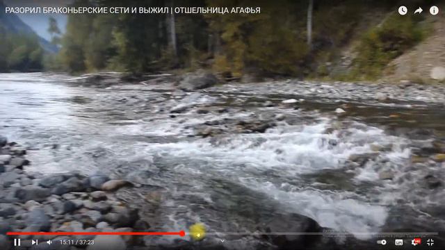 Абвгат - через космический мусор опять к отшельнице. Метавселенная уток и ручные медведи.
