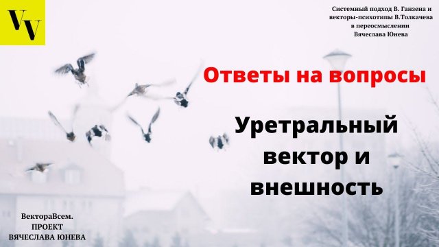 Уретральный вектор и внешность. ВектораВсем. Проект Вячеслава Юнева