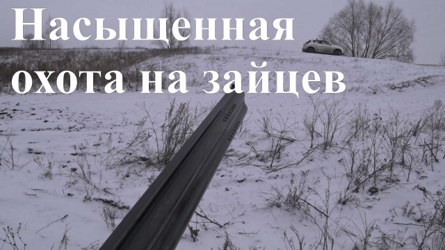 Насыщенная охота на зайцев