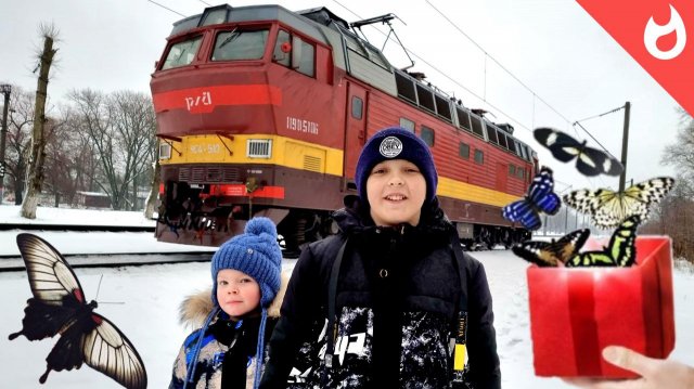 Зимние поезда, забавы и ферма бабочек / бабочкарий